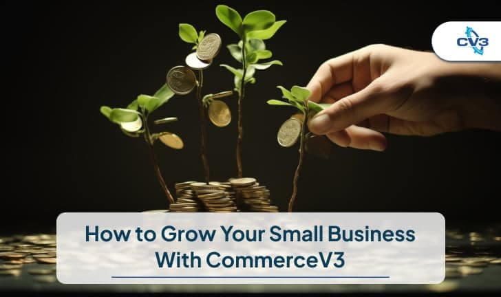 How to Grow Your Small Business With CommerceV3