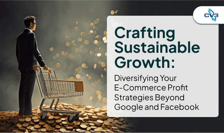 Crafting Sustainable Growth: Diversifying Your E-Commerce Profit Strategies Beyond Google and Facebook