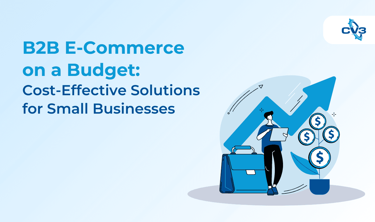 B2B E-Commerce on a Budget: Cost-Effective Solutions for Small Businesses