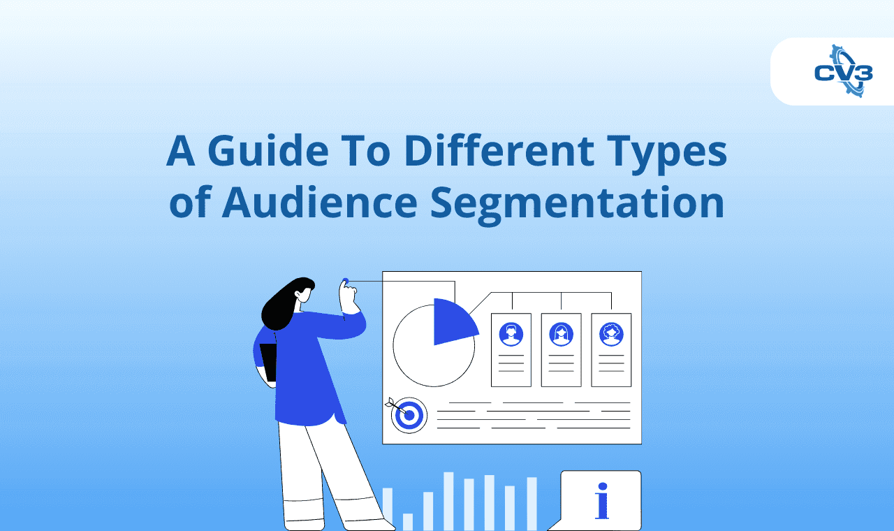 Audience Segmentation
